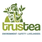 Untitled-design-2023-08-20T163650.480